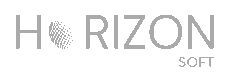 horizonsoftmy.com